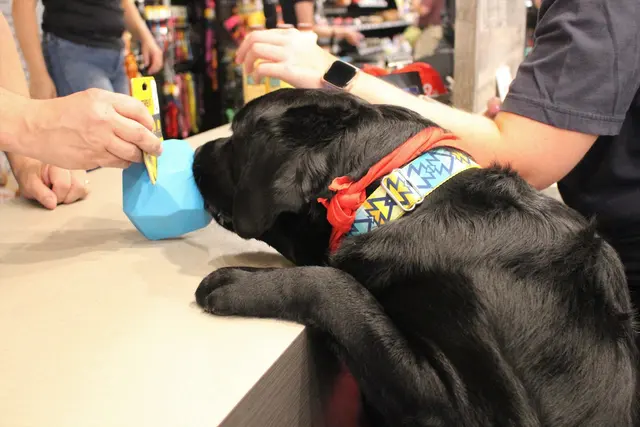 Chuck & Don's Pet Food & Supplies — photo from the business 9