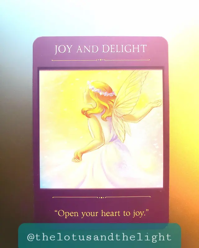 The Lotus and The Light Metaphysical Center — photo from the business 7