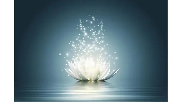 The Lotus and The Light Metaphysical Center — photo from the business 1