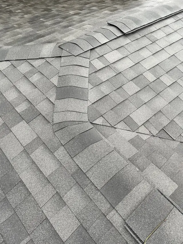 Customer photo from Robert's review