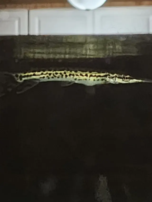 Quality Aquatics Pet Shop — customer photo 5