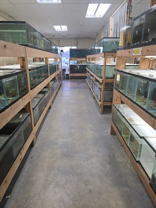 Quality Aquatics Pet Shop — customer photo 9