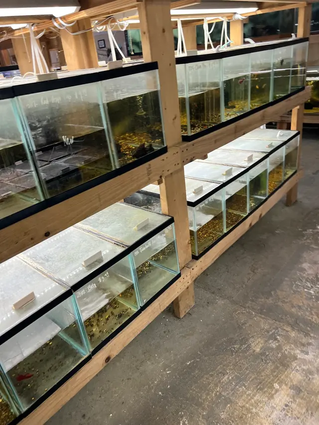 Quality Aquatics Pet Shop — customer photo 12