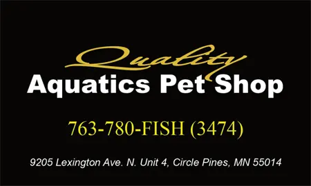 Quality Aquatics Pet Shop — photo from the business 1