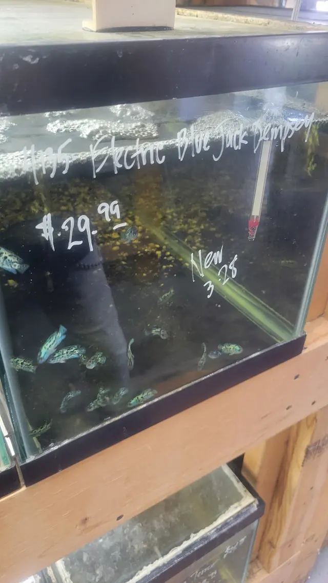 Quality Aquatics Pet Shop — customer photo 11