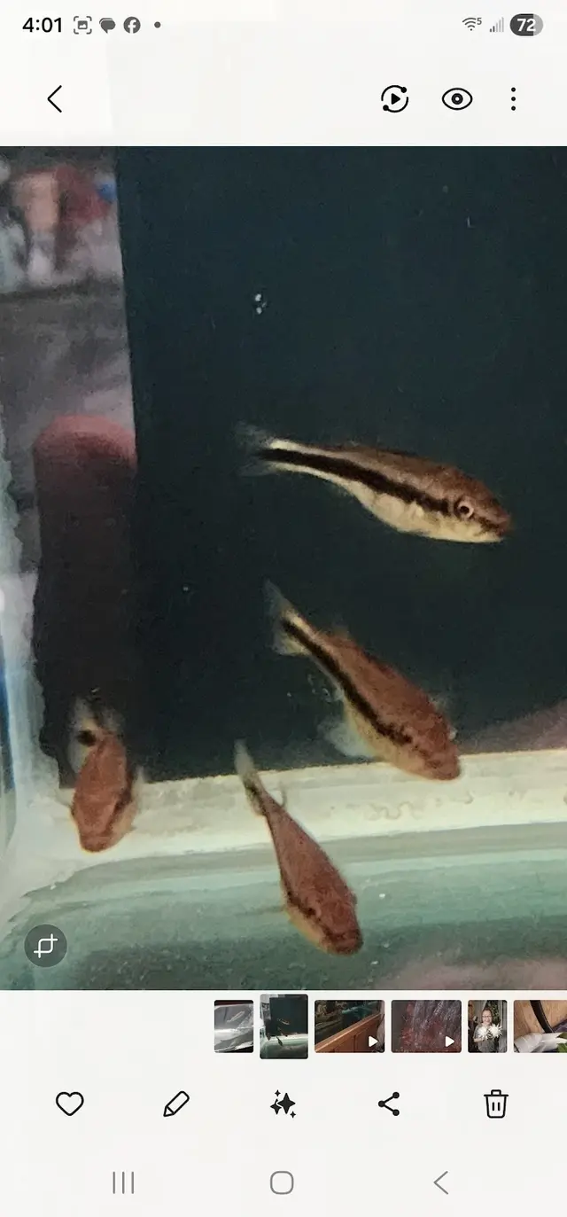 Quality Aquatics Pet Shop — customer photo 4