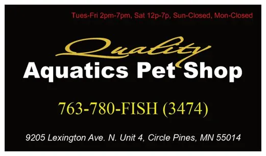 Quality Aquatics Pet Shop — photo from the business 2