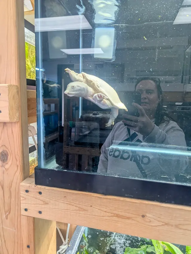 Quality Aquatics Pet Shop — customer photo 7