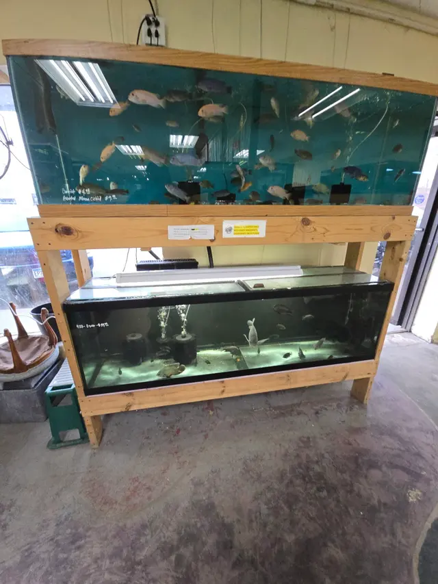 Quality Aquatics Pet Shop — customer photo 10