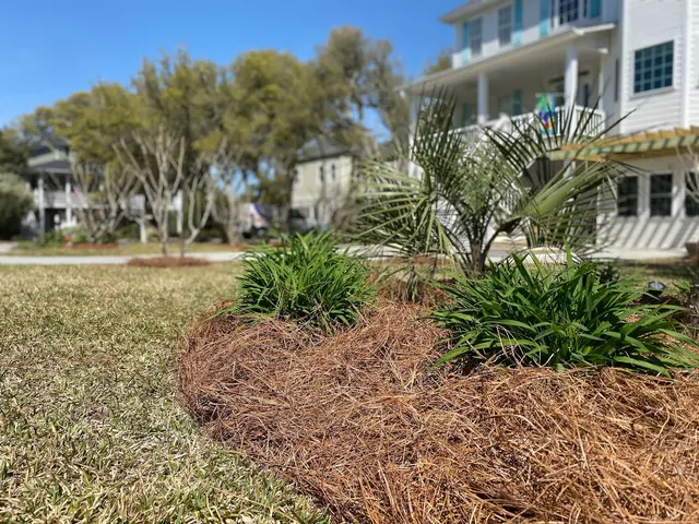 ProGreen Turf & Landscape — photo from the business 5
