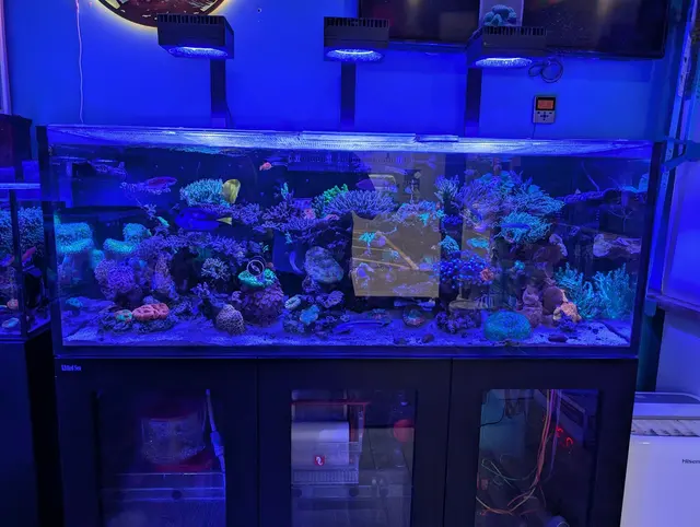 New Wave Aquaria — customer photo 3