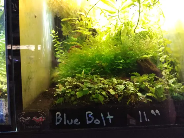 New Wave Aquaria — customer photo 11