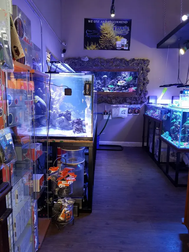 New Wave Aquaria — customer photo 8