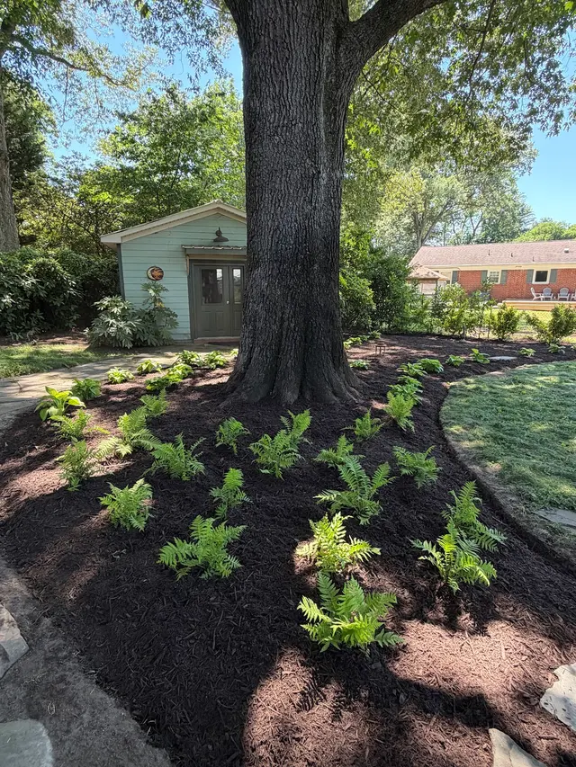 A.X. Landscaping — customer photo 4