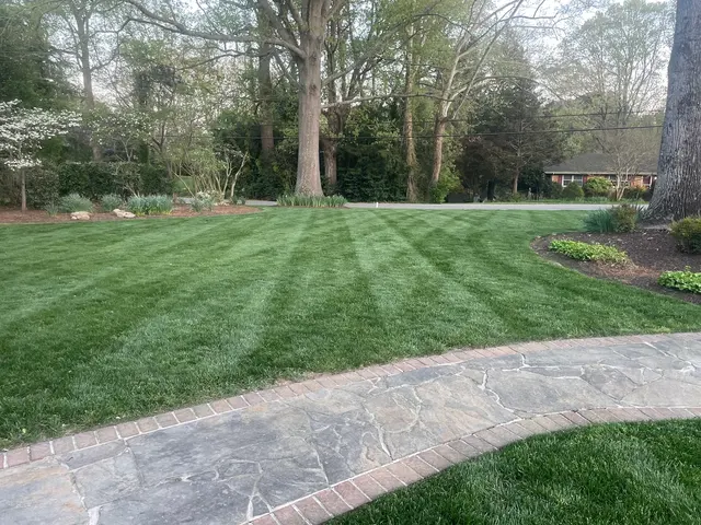A.X. Landscaping — photo from the business 3
