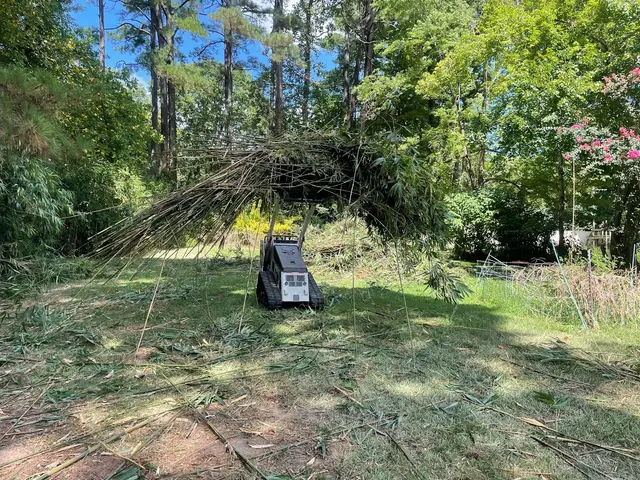 A.X. Landscaping — photo from the business 12