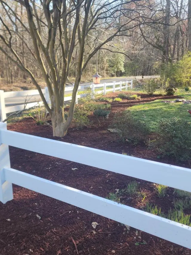 Customer photo of work by East Coast Cuts & Landscape, from Daniel Pitts's review