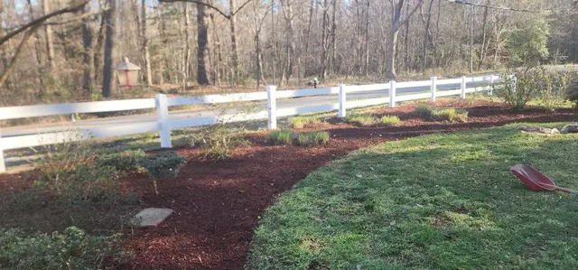 Customer photo of work by East Coast Cuts & Landscape, from Daniel Pitts's review