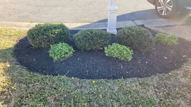Customer photo of work by East Coast Cuts & Landscape, from Laurie Miner's review