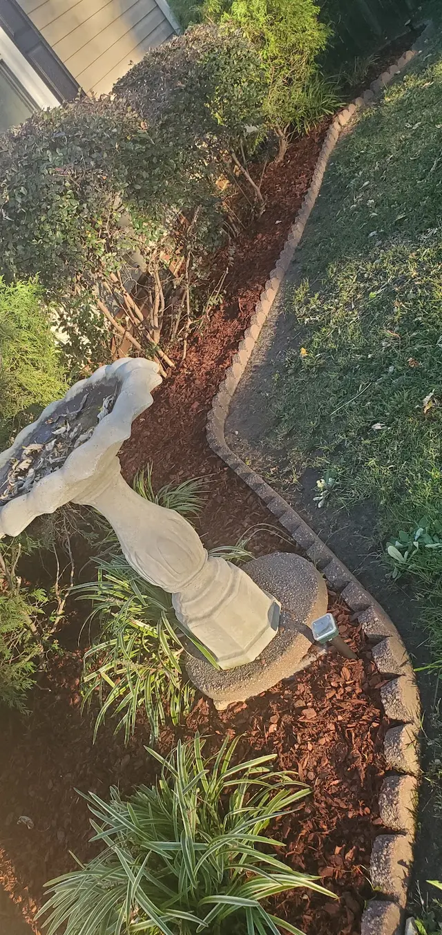 Trimora Lawn Care — customer photo 11