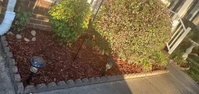 Trimora Lawn Care — customer photo 9