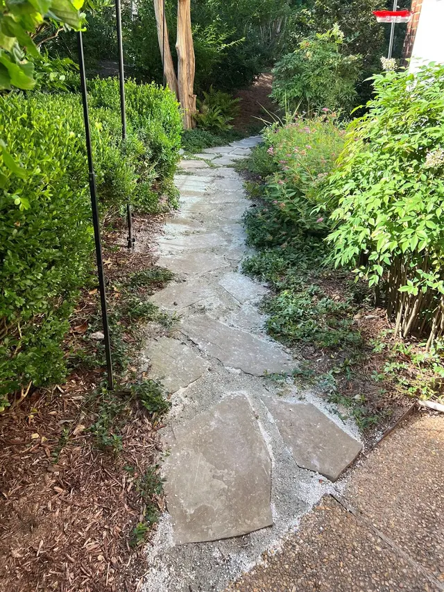 Delightful Gardens Landscape Company — customer photo 11