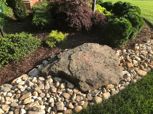 Bloom Lawn + Landscaping — photo from the business 9