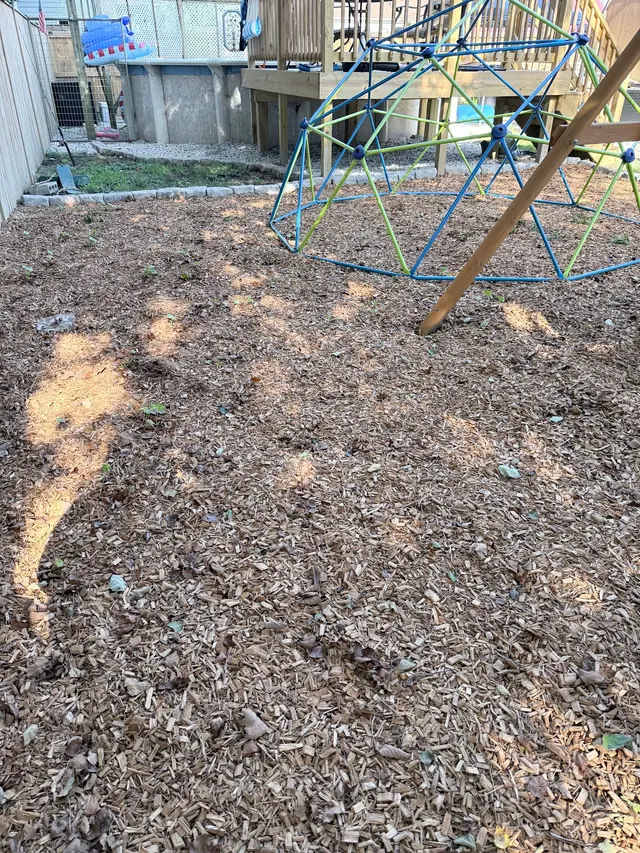 The Vine Landscaping — customer photo 10