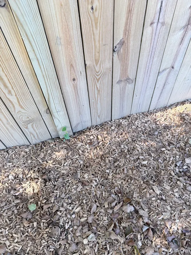 The Vine Landscaping — customer photo 9