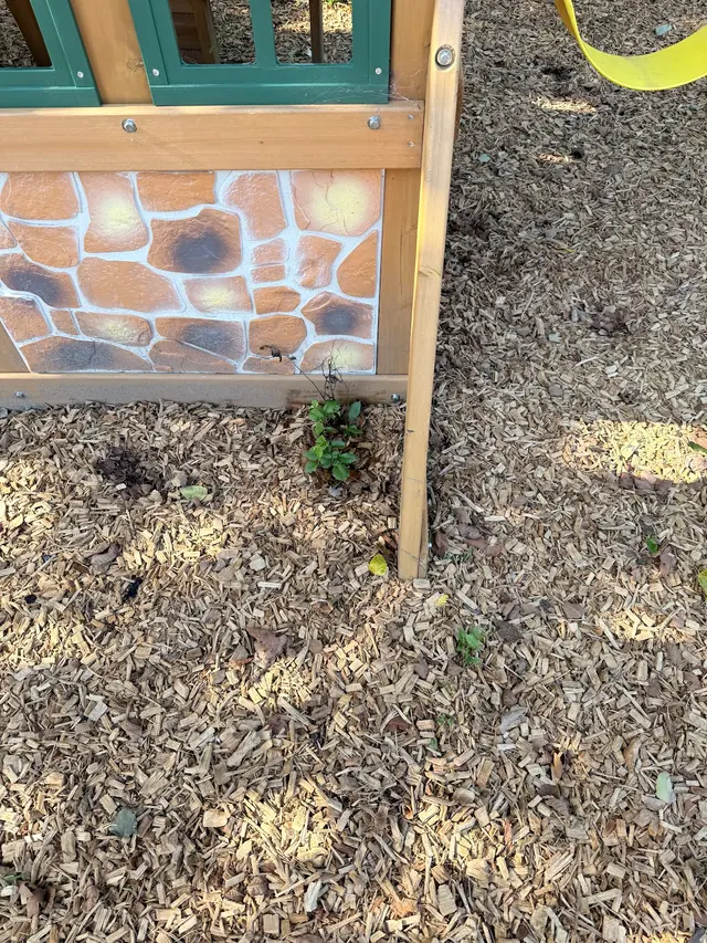 The Vine Landscaping — customer photo 8