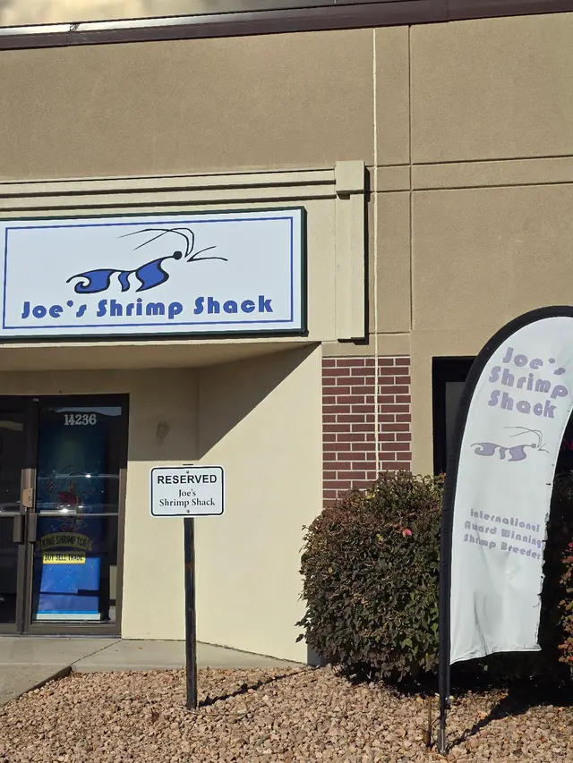 Joes shrimp shack — customer photo 1