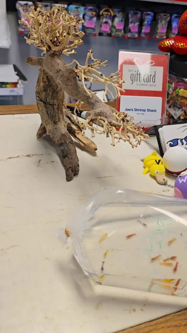 Customer photo of work by Joes shrimp shack, from lentilbean's review
