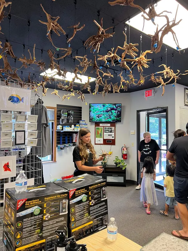 Joes shrimp shack — photo from the business 8