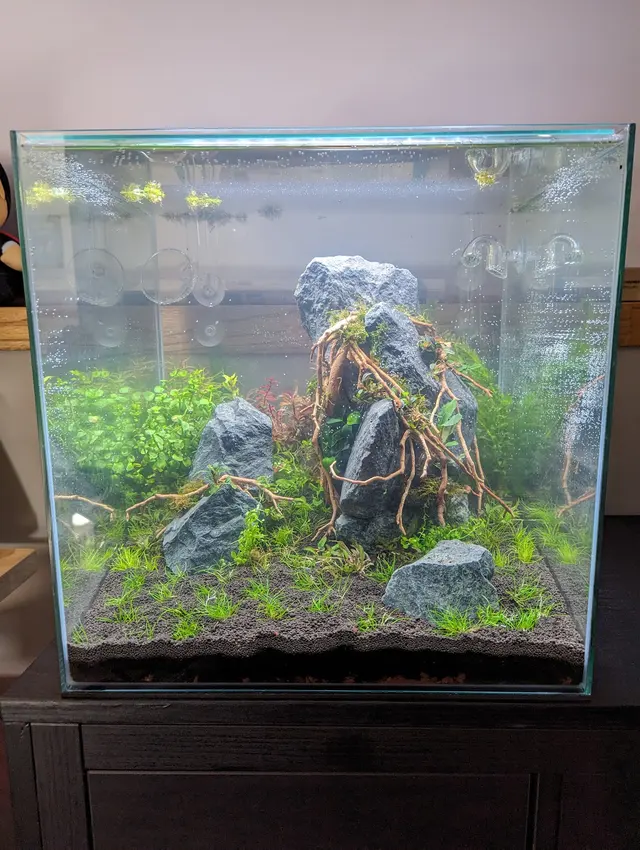 Joes shrimp shack — customer photo 5