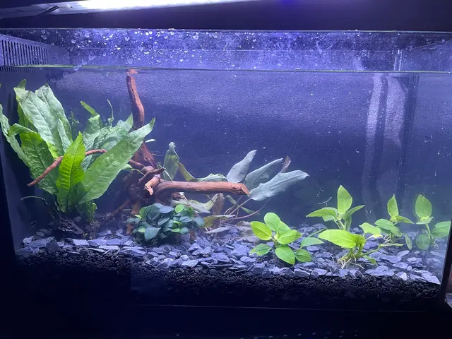 Joes shrimp shack — customer photo 12