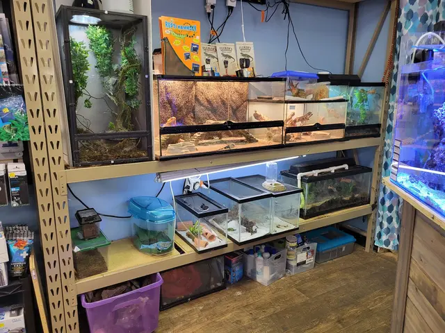 Pure Fish Works — customer photo 1