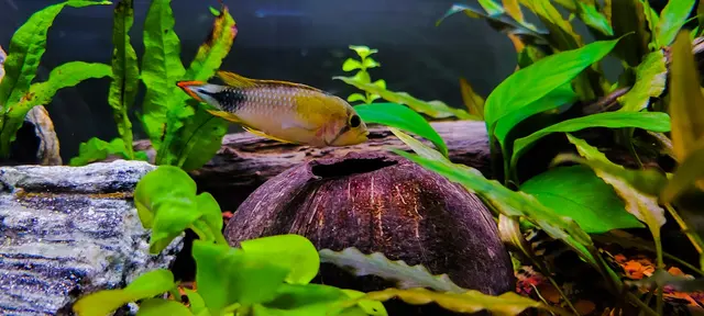 Pure Fish Works — customer photo 5