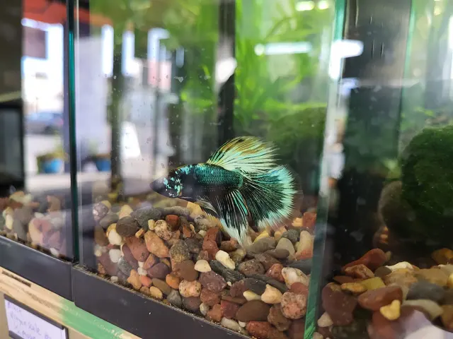 Pure Fish Works — customer photo 6