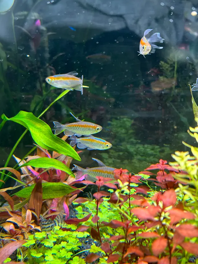 Pure Fish Works — customer photo 4