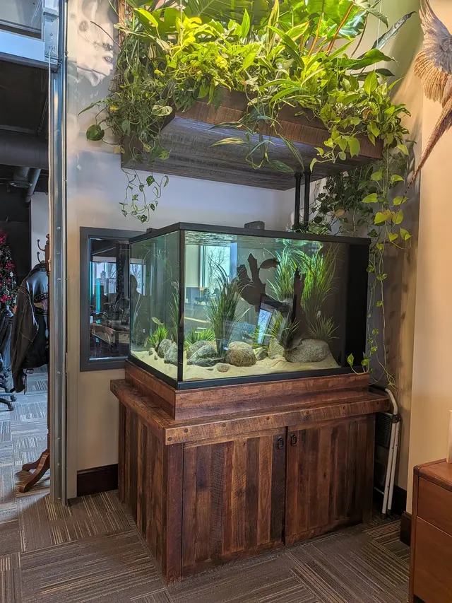 Customer photo of work by Premier Aquarium Service, from kaylene nielsen's review