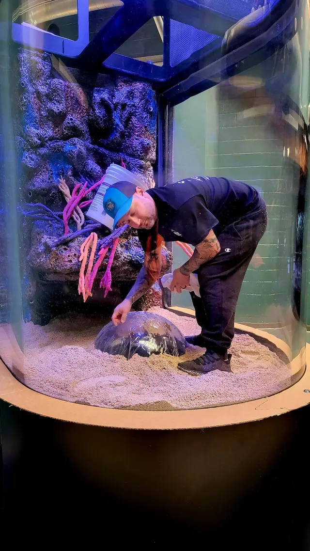 Premier Aquarium Service — photo from the business 12