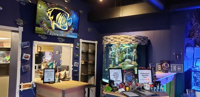 Premier Aquarium Service — photo from the business 2
