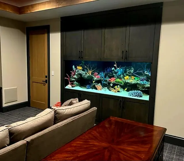Premier Aquarium Service — photo from the business 4