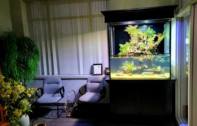 Premier Aquarium Service — photo from the business 9