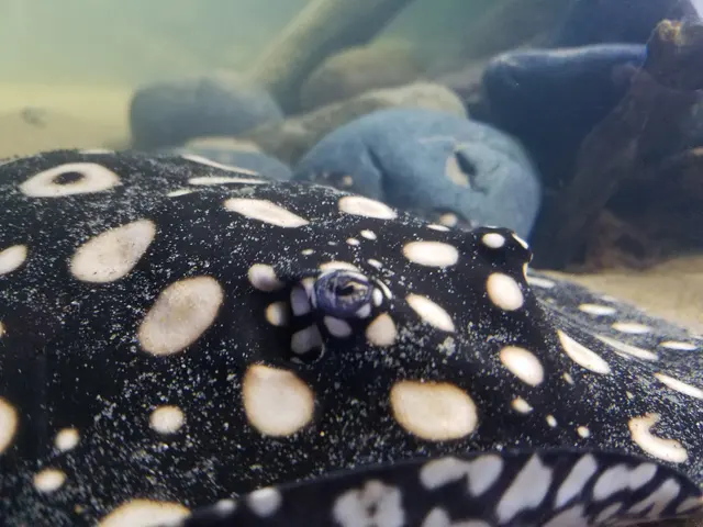 Premier Aquarium Service — customer photo 7