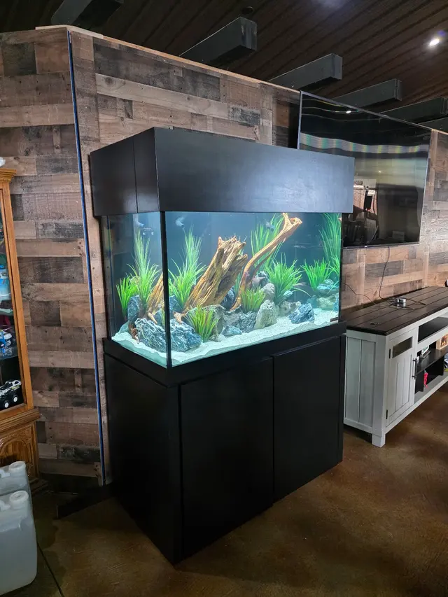 Premier Aquarium Service — photo from the business 5