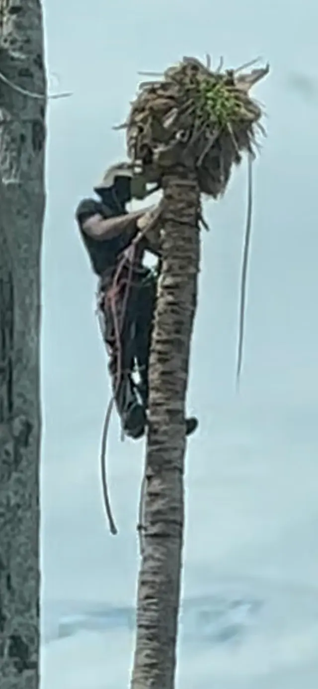 Monty Tree Service — photo from the business 12