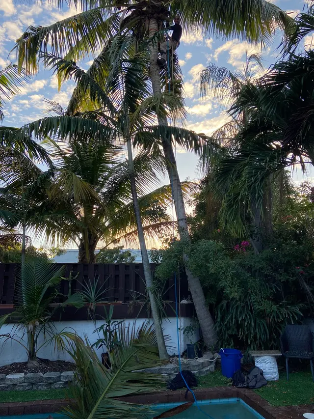 Monty Tree Service — customer photo 1