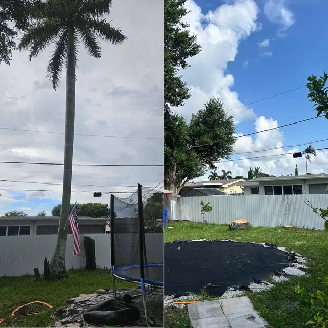 Monty Tree Service — photo from the business 10