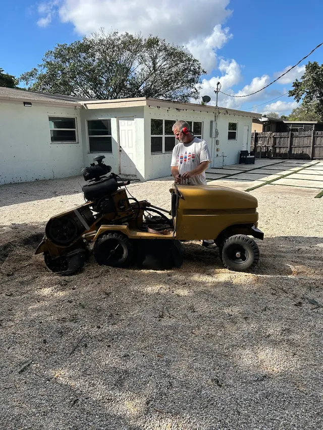 Monty Tree Service — photo from the business 6